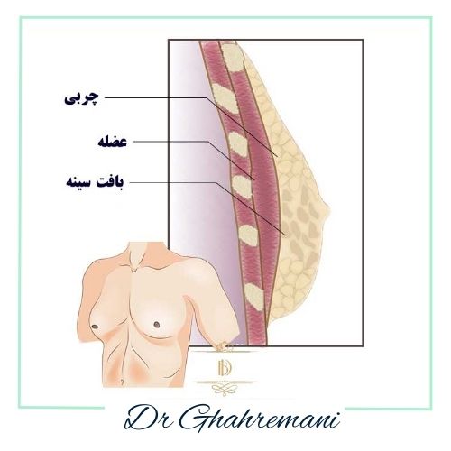 علائم علائم
